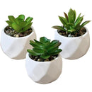 fffffffffff7f7e7c3e2c381c1e0f87cf810f009e413ff9fff1fff1ffe7fffff00000000003f0041002b41a200000000