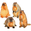 ffffffffef7fc67fc61fc61fc307c207c303d183f0e3f063e060f0e3fbffffff00000000001813000013171300171515