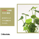 fffffffffffffffffffe81ff81ff81ed81b8816281e281c1ffc0ffc1ff00ffff00000000000009090029eb1c00001c37