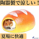 00000000fffffffffc7ffe27c203c003830387038607843ffcffffff003f003f