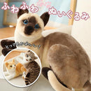 ffff45ff13fb1d78117f18fff98fbe03cb01ba81fc00f9c0e000e140b840fc20272b2b8079120f1e181a151324170e16