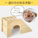 000000000000ffffffefff41ffc0f1c091c192a3b07f900fb007b003e19fe3ff2222222200000012001a2b0b0017171c