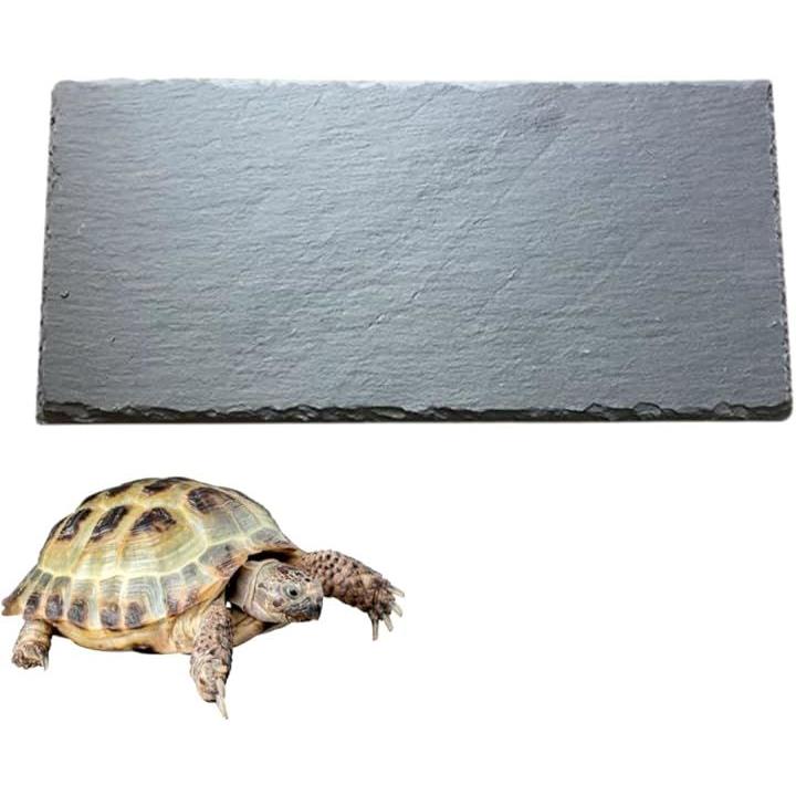 ffffffffffffffffc001c001c001c000c000c000c000ffffc3ff80ffdbffffff000000000092959c00878f8f00220000