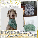 ffffde80ff90ed88fbc0f1fae0c8e1c7f1dff9fff1df60d1e0e36ff1b17fee3f2b000000000000a50012008900140066