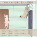 ffffddfd0007ffe50fe30ff10ff13fb11dc917b93ff90ff917f9d6f9aef9fffb00000000115f5c0b105cab67115c6422