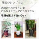 fffffeffffffc7ffffffffffb2ffffffffe197e1866196218fa18da1852184252b1c391b336b091c9c412b2b001cf521