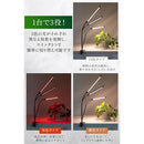 ffffff808010800cff88ffb8ff80ffffffff808090808088808080bc8080ffffabab0000abab0028abab00ab0006ab18