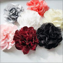 00bfff1fff17e3fff7eff7fff7f3fc60f000f500b000f00070018c3bffffffff0f13029292a00029fffefba20e000292