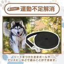 ffffdffdccc3ffffffff80b0d0f6c876cc44a0008a008a0088e08810ffffea7300000000091f1f1f009a292b1b9c1e1c