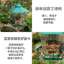 00ff00ff02b502ff00ed00eb02ff00ff80ffff80cb80eb80ddc0c180ffa0ff80163f1c003b3d2b001242267f00002f0b