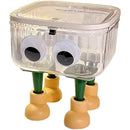 fffffffff81fe003e003e253e003e033e00ff487f8cff8cff88ff18ff19fff9f0000000000101710001bab1400001c00