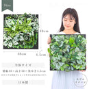 9fff9ffffff382f180fd90f98af388c0d0a0ff80ffc0ffc0ffc2ffe1ffffffff00000000006b00090031004100000046