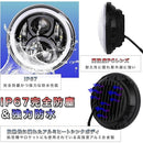 ffff94778173b0f380f1e0f2bc77dc7dbe40eff1ffc08660ffe0dbe0ffd1ffff