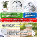 ffffcdffdf7fdffcbffcffff99ac802080008080ffa09fbeff88ffbef84fdde7000000a400001ca49c0000009a2b2b14