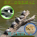 0000000000003800780008382838647938b600510b4c030f087f9fffcfffeafd27282729274126242844c72421150f1e