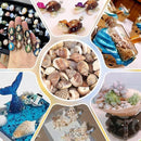 3fe889dea7f4473b73e203f83674fcd0fa0fdcff9f7bde378abb84109b00bb6892f5fc3ca21c128d8b180e982b923509