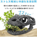 fffff1e1ffffffffed37f7bfcbffc0875001e002c010c000e899c003e006800b0000000000000000353a009c00262100