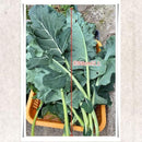 ffffe107e0dfe0c3f05be043e003e073f4a3e02be063e507f007f807e693e083130000000f640714076e09680b131400