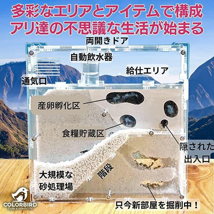 21ae8bd4c90ff675dfdf16c9000657