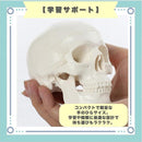 ffff38ce7fff7fff79ff7387723176a175c1773960c170e1718779ff7dff7fff2b8989897ea224a27e1f24177e0e2b2b