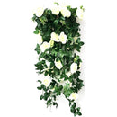 fffffffffa5ffc0ffc0ffccffd0ffe0ffe0ffdbffe0fff8ffc0ffc7ffedfffcf00002b0000004e0000004e0000004b00