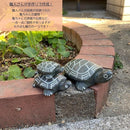 ff03ff01ff08ffffdc3f841c1e3f083c537cc035f901f809800301030084002f1210131524301a0b181322190c061507