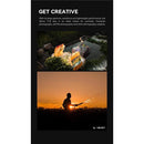 000000001d1c0000000212dc27c003623ffe3ffe3ffe3efe0eda0000000000000000000000332b2b0010111000151614