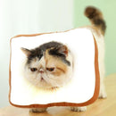 ffe0ffe0ffe0ffe0fff8e7fefe7ef03ef23ef01ef03ef87ef87efff8fff0000047553d4647554119500a190044291a00