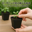 fe507ff8378a3d961002481f0173006387ffc409c40ffc1ffc1ffc0ffc3ffeff2e383a3540393c3c171e1b1017172415