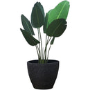 fffffffffecffc8ffc0ff80ff81ff9fffc3fff7fff7ffc1ffc1ffc3ffc3ffe3f000000000000610000004c000000a200