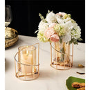 0000000000000078c1dcc1ffc1cf0fcc9ffffff7dfffffff7ff8fdfeeff8fff8