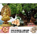 9028f240d240d890da8839206800b901ca008fc0efe2f188c11ffffeb907ee57