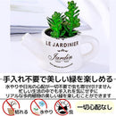 ffffffdfff1ffe1ff21ffe1fff3fff7ffe3fffffffff9284e503f0989f7fdf38aba494b7aba555b2abb103b100000000