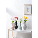 fffffffffff8fff2fff2fff3fff0fffffdb6f5d0f5b0f080f000b070f600f600009ca2a0a09cabab9c10ab19a20e8609