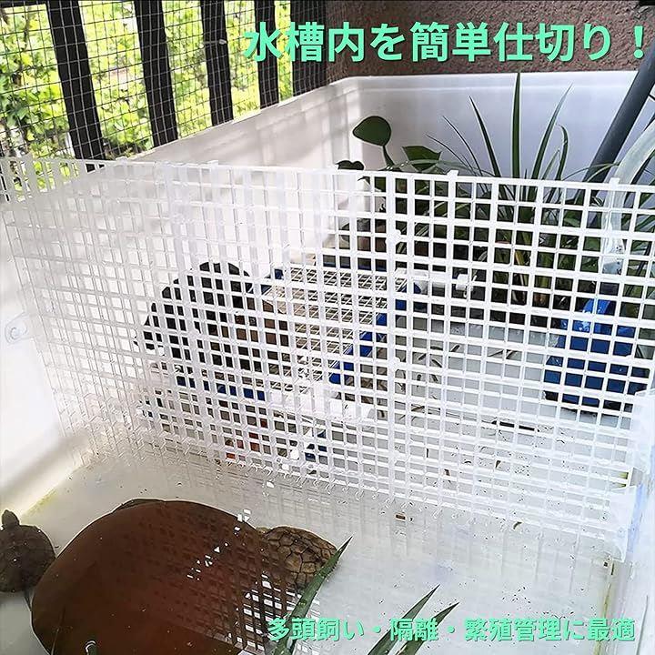 0000d302d77f039ebfcefffdffbdf9befe65f4a8fffcf2ffffff00ff007f00df3d37000031bd0094b3def5991a1a2293