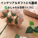 ffff9d7cffffce4bffffc9c3c8e00bb0e21ce030e039f03dc012b800e800f4000f0f0f0f1bfb080c152b09111411104a