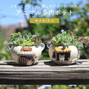 f9fff5fdffe0fe46fae0600030001c050c041f5c0346f187f7ffffe000000000959895979a9c254d3a347d3a12c70f0f