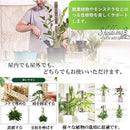 fb80f060eaa0e700f099f4c7fc4ffcfff5fffeff43ff8fba959fff1bdf3effff