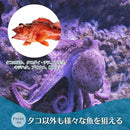 60001c007e0031d8cefbbfed7e4b0dfc81c3018f0b3632050ca7100020003439b5a9a9a5b50ac2b7babdb7c08cc4bab8