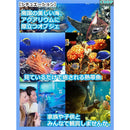 fffc8601d10cfe8590009f8681789809dea0ce88e7808f02ff88fb02a9e1d9ef99999999999da402991432139990942e