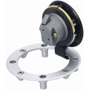 ffffff83ff09ff01ff00fe00ff00ff00ff01f343e7719ff9fff9efefeffffe7f0000002b0000939e00ab979e00000080