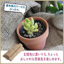 fffff7c0bd00f600e800b5019de1a848d0088410a030f430ac07fbffdfffefff1f1f1f1f1f24131e1f1232021f17090e