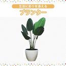 ffbffffff007fedffffffecffe1ffc1ffd1ffcbfffffff7ffe3ffe3ffe7fffff3c0000f50000000000005d0000004100