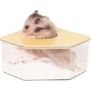 fffffffffc7ff83ff81fe0038000d001f001f001fc01efc3ffe7dffff7e7ffff0000000000000b00000c16160013120b