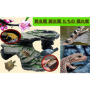 fc007c007fe2bfe30e202e23002f8270c26073a00066302cf0b0b030b0a0ffe2