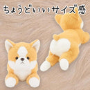 113880f0ecb25ed0869001d0029f041afffeba7b885836983e9a9c006b90620312111110100c1019111c0e1e12101e17