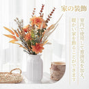 fffffffdfdfffeaee47db01ce03df878f8b9f8fcbcfdfcfdfccd1ccd148d043d00000000000e1100002b180000002b00