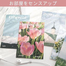 00000020fbfffbffdfffffffdffff9dbd91ffd1bfa3c8000f019f01ef018dffcffffffff228b1c92138bff322210f0eb