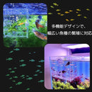 00005f807e007f806f804f8038c6320000ff20f800ff00f720ff00ff00ef00d300000000001c70000054beba0000c7ba