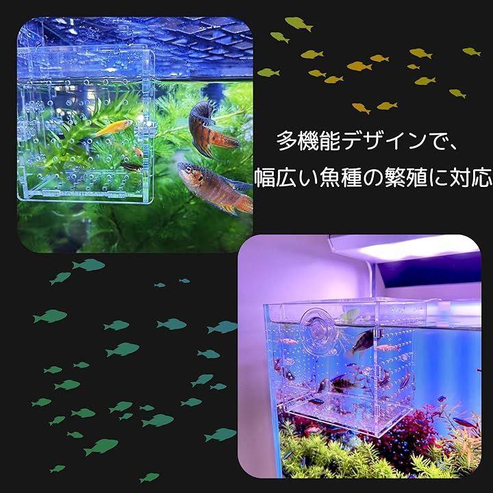 00005f807e007f806f804f8038c6320000ff20f800ff00f720ff00ff00ef00d300000000001c70000054beba0000c7ba